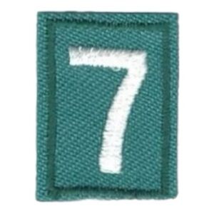 Girl Scouts Troop Number - 7